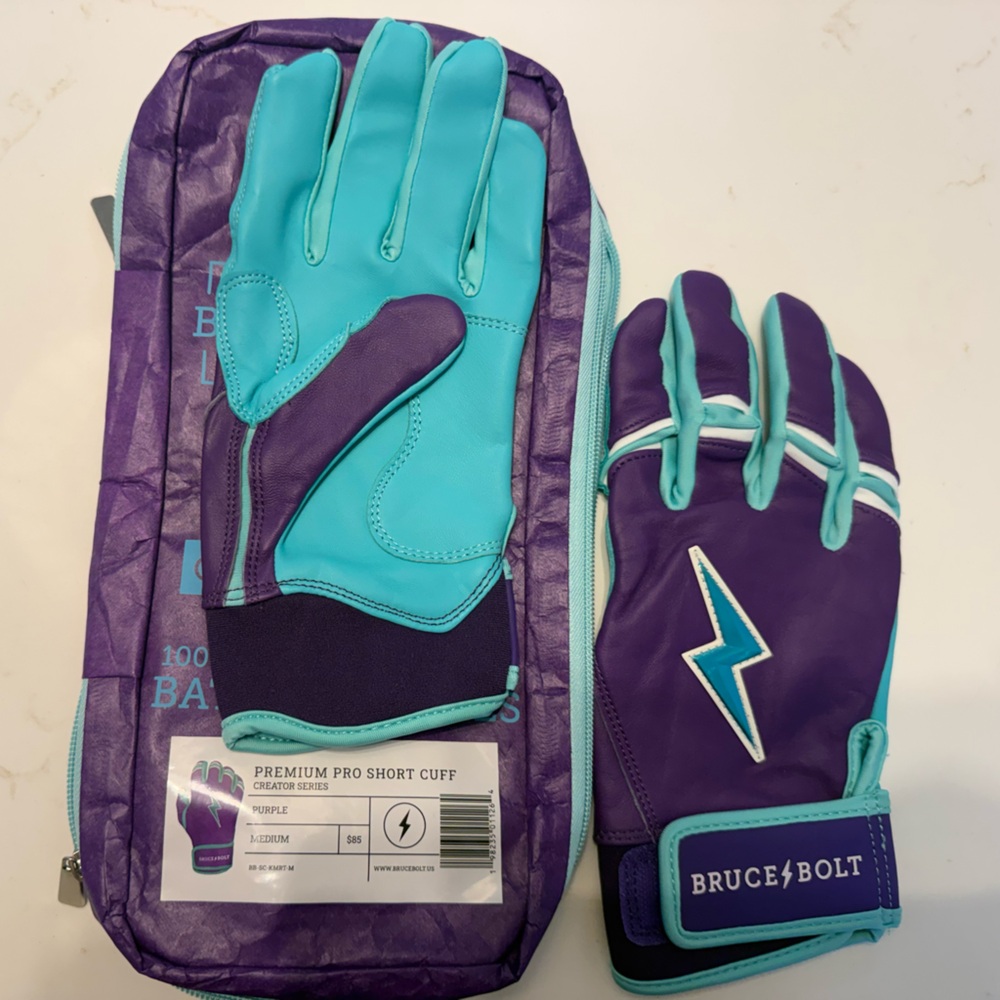 Bruce Bolt Purple and Blue Men's Gloves